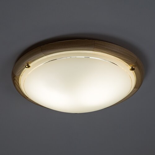 Ufo (5421)