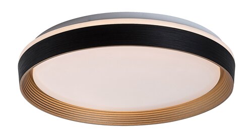 71308.jpg