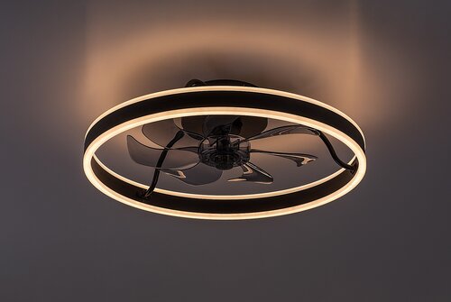 Fanfy (71337)