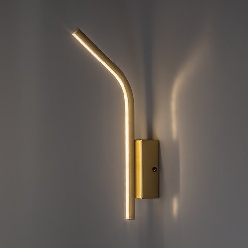 Tilmann (75089)